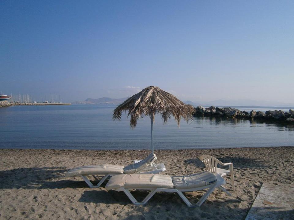 Theodorou Beach Hotel Apartments Psalidi  Exteriér fotografie